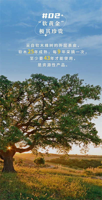 無懼挑剔眼光，裝飾材料的天花板！ image4